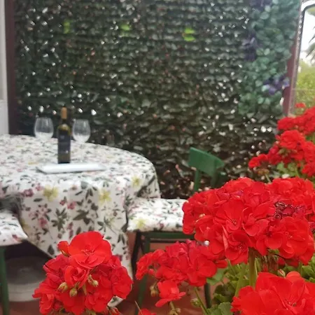 Apartamento Casa Di Viola *
